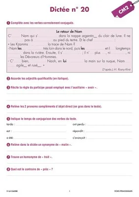 Une année de dictées CM2