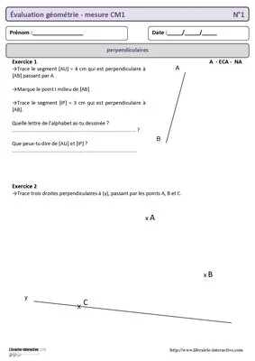 Évaluation géométrie et mesure CM1