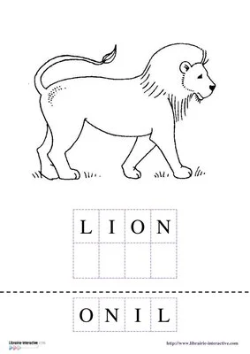 Vocabulaire - Les animaux d'Afrique