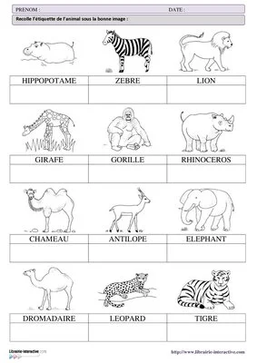 Les animaux d'Afrique (GS-CP)