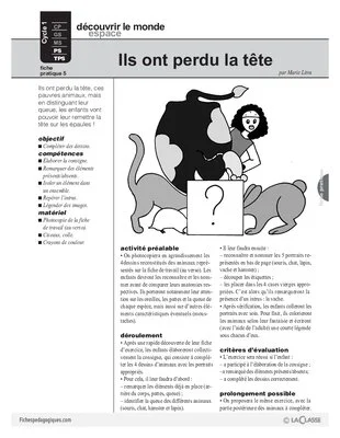 Hamster (5)