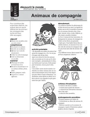 Animaux de compagnie