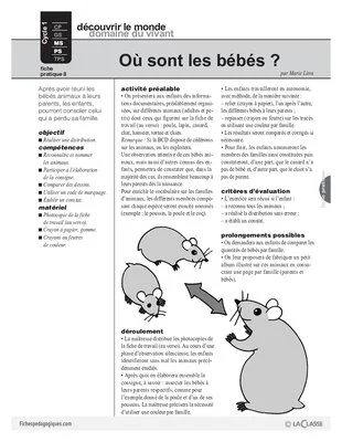 Où sont les bébés?
