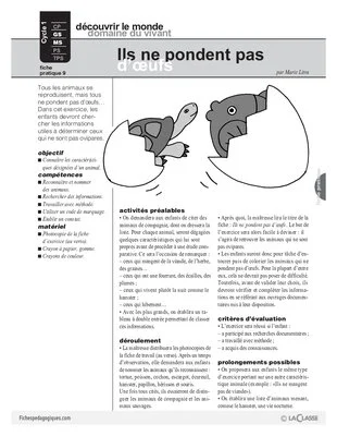 Ils ne pondent pas d'œufs