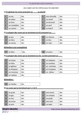 Le pluriel des noms communs