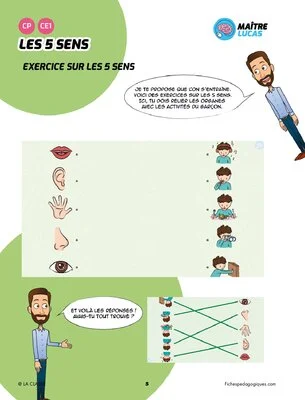 Les 5 sens