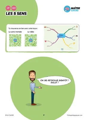 Les 5 sens