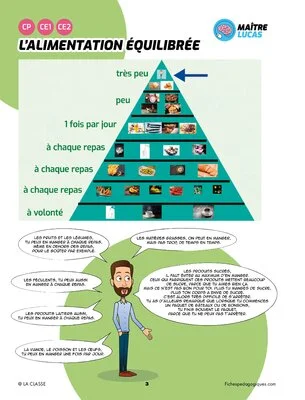L'alimentation équilibrée