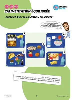L'alimentation équilibrée