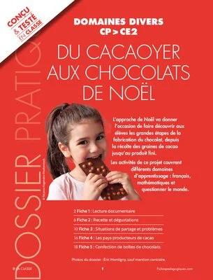 Du cacaoyer aux chocolats de Noël