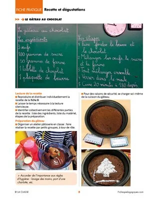 Du cacaoyer aux chocolats de Noël