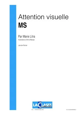 Attention visuelle MS (période 3)