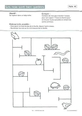 Attention visuelle MS (période 3)