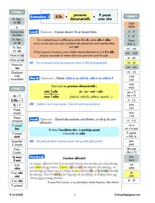 Progression orthographe CM1-CM2