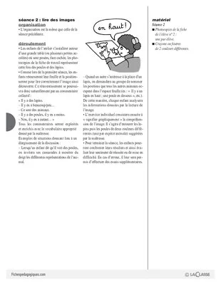 Des lapins, des poules (Image)