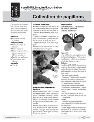 Collection de papillons