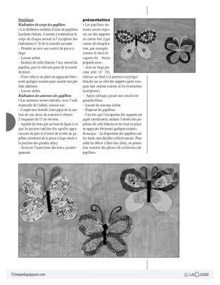 Collection de papillons