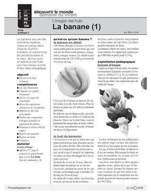L'imagier des fruits : La banane (1)
