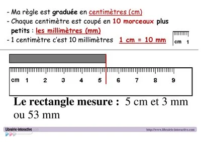 Référent pour l'utilisation de la règle graduée