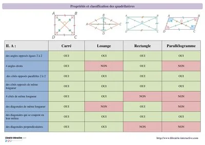 Classification et propriétés des quadrilatères