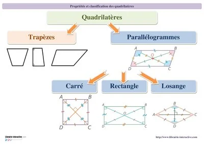 Classification et propriétés des quadrilatères