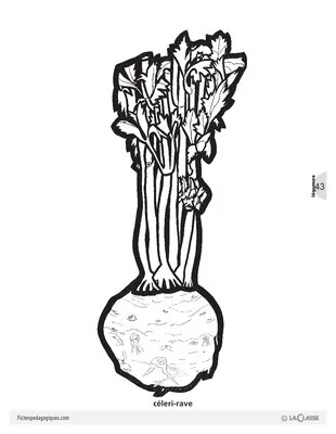 Découp'images: les légumes (1)