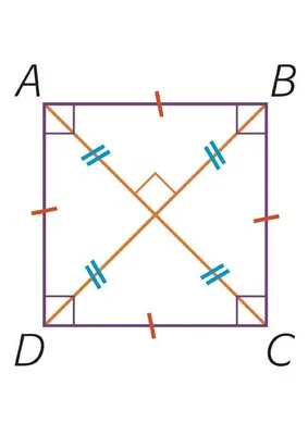 Images des quadrilatères