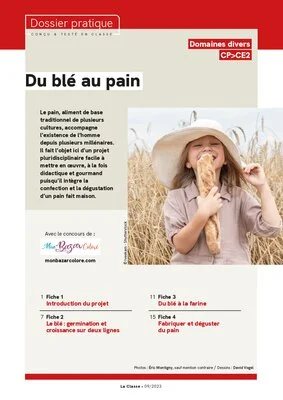 Du blé au pain