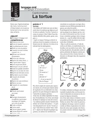 Cajolicomptines (7) / La tortue