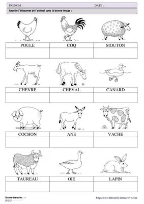 Lecture - Les animaux de la ferme GS-CP