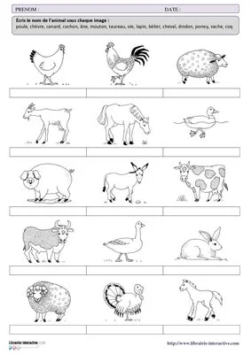 Les animaux de la ferme - CP CE1