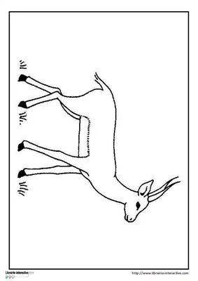 12 puzzles animaux d'Afrique - niv 1