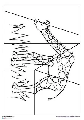 12 puzzles animaux d'Afrique - niv 1