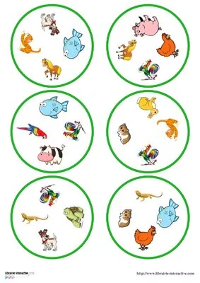 Discrimination - Les animaux 4 images
