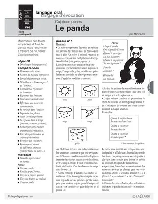 Cajolicomptines (8) / Le panda