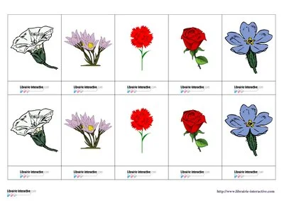 Memory des fleurs