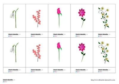 Memory des fleurs