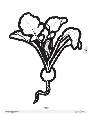 Découp'images: les légumes (2)