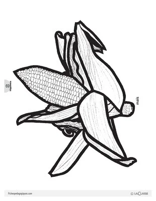 Découp'images: les légumes (2)