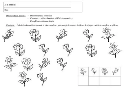Numération à 5 - fleurs