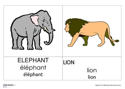 ELMER - Référent animaux