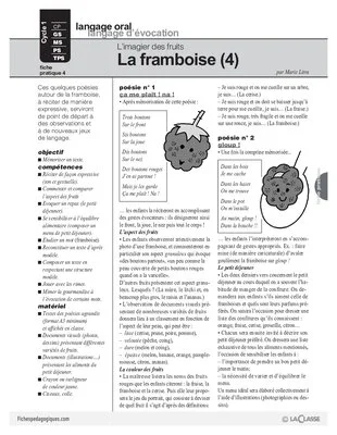 L'imagier des fruits : La framboise (4)