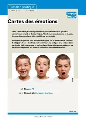 Cartes des émotions