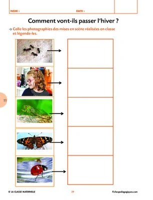 Activités autour de l'hiver