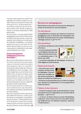 « Nous nous sommes occupés d'une fourmilière en classe »