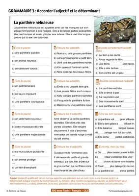 300 exercices flashs de français niveau CE2-CM1