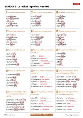 300 exercices flashs de français niveau CE2-CM1
