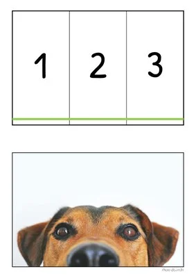 6 puzzles mathématiques PS