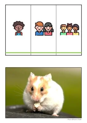 6 puzzles mathématiques PS