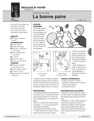 La chèvre (5)